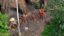 Amazonie : une tribu d'Indiens isolée fuit l’exploitation illégale de sa forêt