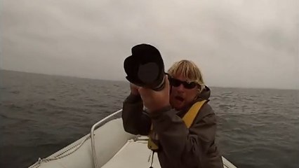 Une baleine bleue fait chavirer le bateau d'un photographe
