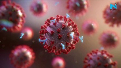 Omicron Sub-Variant could be more infectious, found in 57 countries: WHO