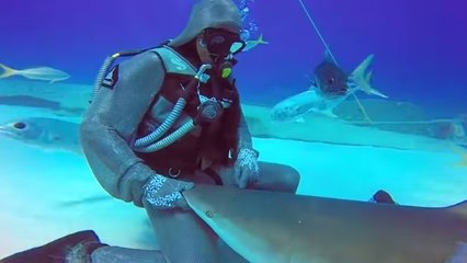 Cette plongeuse caresse un requin comme un animal de compagnie