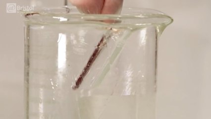 Comment rendre un objet invisible ? Testez cette expérience étonnante !