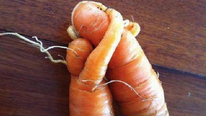 Les fruits et légumes "moches" se rebellent contre le gaspillage alimentaire
