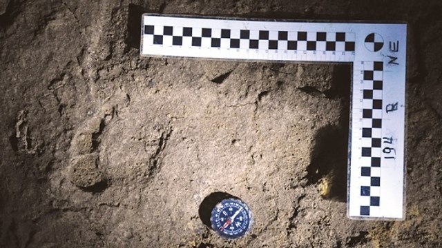 Des empreintes de pas humaines vieilles de 36 000 ans découvertes en Roumanie