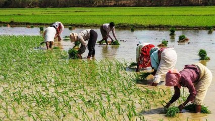 When will farmers' income get double? know what govt said