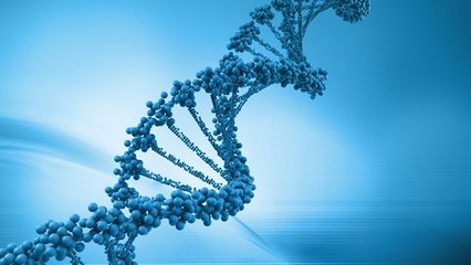 Cancer : un gène capable de limiter la formation des métastases