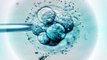 Fécondation in vitro : des embryons humains reconstitués grâce à l'impression 3D