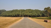 Le Banian de Howrah, l'arbre gigantesque qui ressemble à lui seul à une forêt