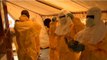 Virus Ebola : qu'est ce que le ZMapp, traitement expérimental envoyé au Liberia ?