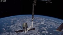 Regardez l'ISS relâcher la capsule Cygnus dans l'espace