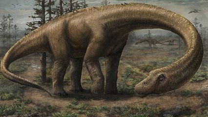 Le fossile du plus énorme dinosaure de l'histoire découvert en Argentine