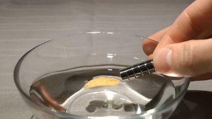 Avec un aimant, capturez le fer caché dans vos céréales