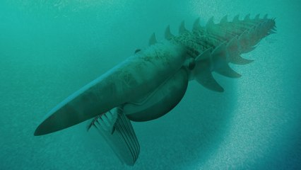 Ce monstre marin peuplait les océans il y a 480 millions d'années