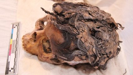 Les extensions de cheveux, déjà à la mode il y a 3 000 ans en Égypte ?