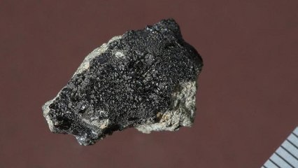 De la vie sur Mars ? Une petite météorite tombée sur Terre ravive le débat
