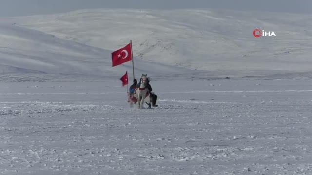 Son dakika haber... Donan Çıldır Gölü'nde atlı kızak seferleri sürüyor