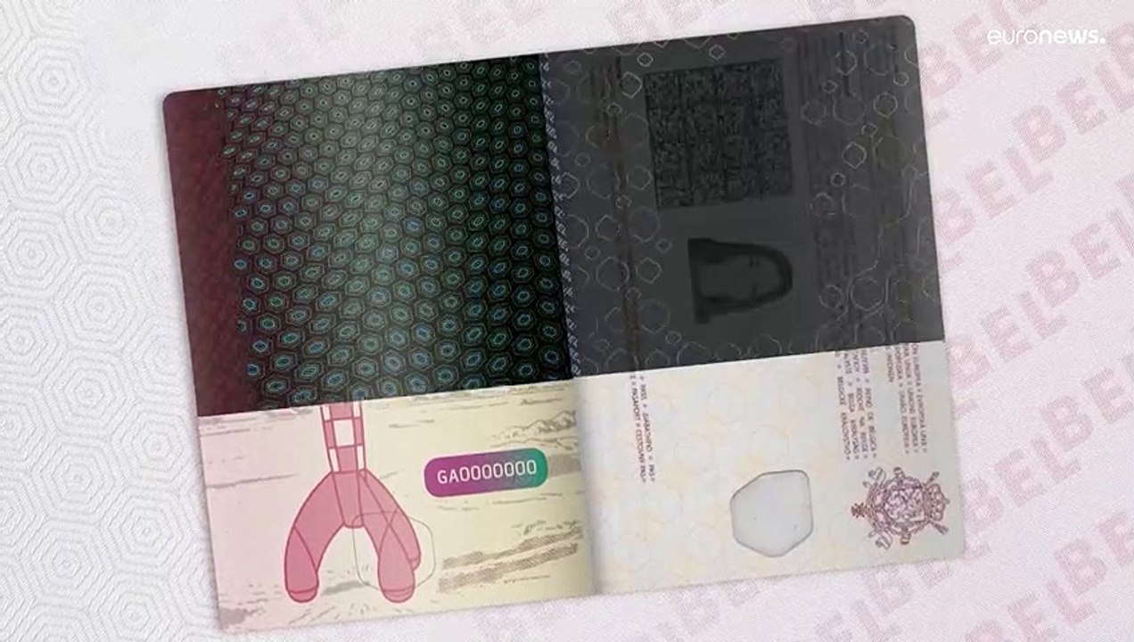 Паспорт со смурфиками