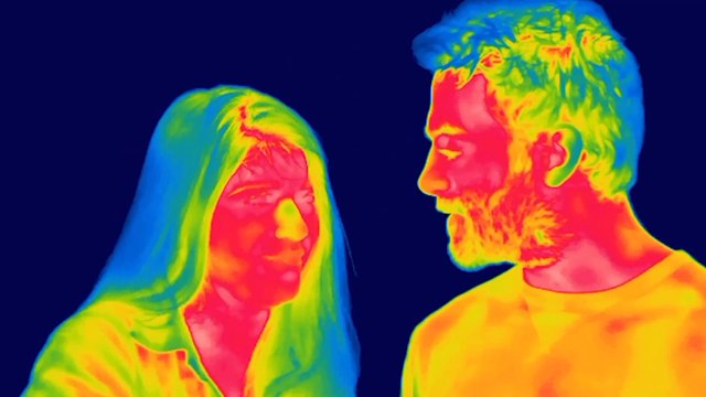 Voilà à quoi ressemblent votre quotidien et votre corps vus par une caméra thermique