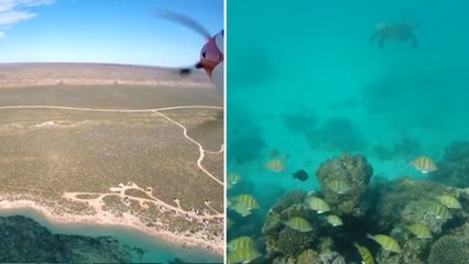 Tombée dans l'océan, une caméra filme de fantastiques images de la vie sous-marine