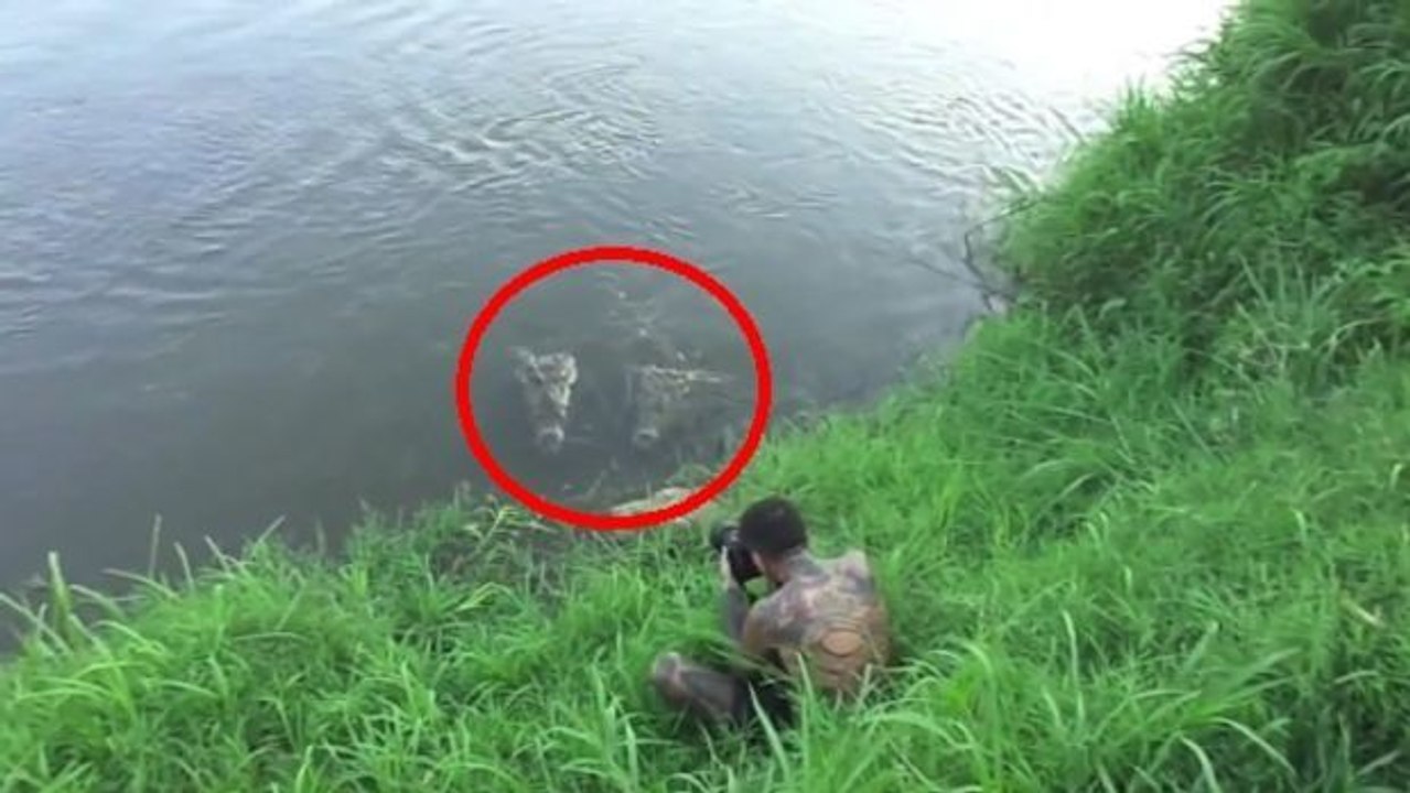 Dieser Fotograf wird von einem Krokodil auf Costa Rica angegriffen