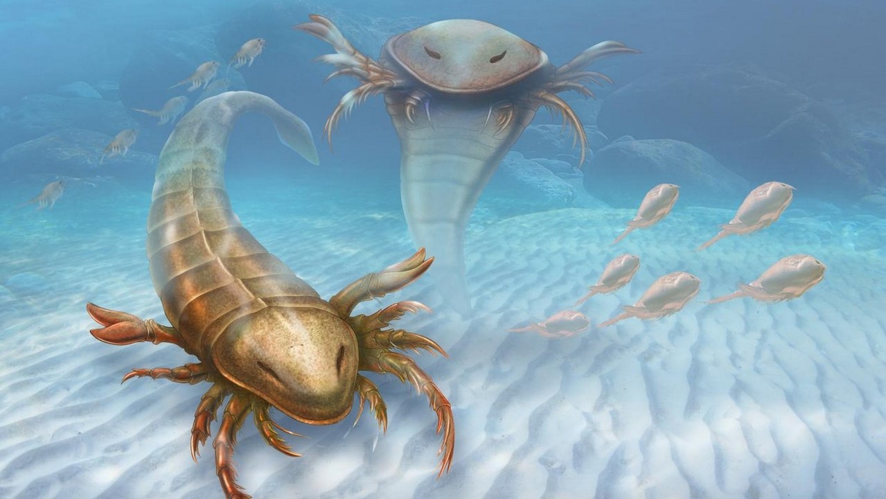 Le fossile d'un gigantesque scorpion des mers découvert aux Etats-Unis