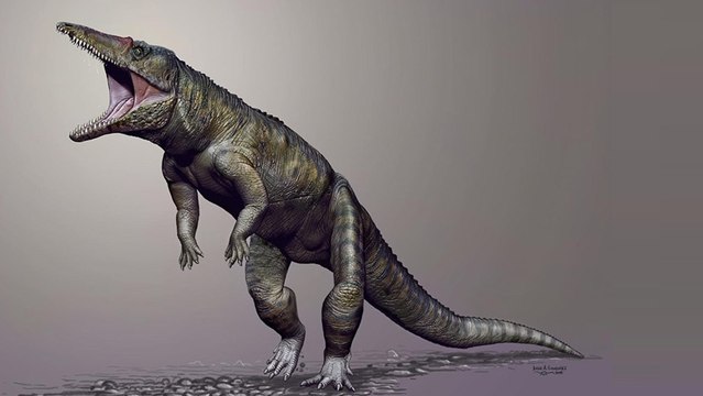 Le ''boucher de Caroline'', ce prédateur sanguinaire qui a précédé les dinosaures