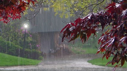 Des scientifiques ont percé le secret de l'odeur de la pluie