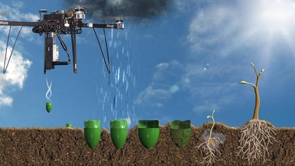Contre la déforestation, un scientifique imagine un étonnant drone planteur de graines