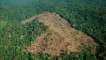 Déforestation : 170 millions d’hectares pourraient disparaitre d’ici 2030, selon le WWF