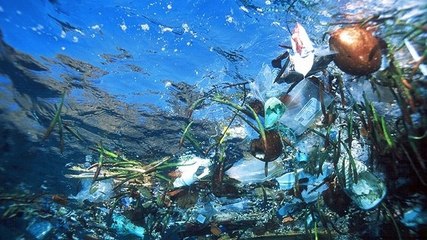 Huit millions de tonnes de plastique finissent chaque année dans les océans