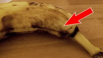 Er will eine Banane essen und macht dabei eine schreckliche Entdeckung