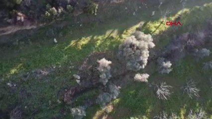 KAYBOLAN YAŞLI KADIN BULUNARAK AİLESİNE TESLİM EDİLDİ