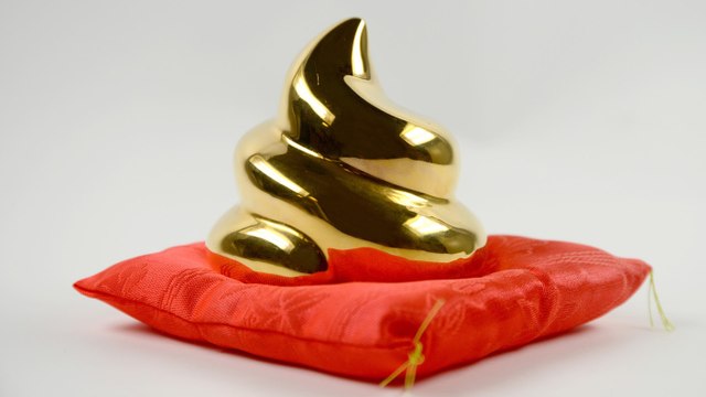 Excréments et eaux usées, ces déchets qui pourraient valoir de l'or