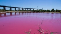 Le secret du lac soudainement devenu rose en Chine