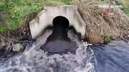 Derelere zehir akıyor, müsilaj tehdidi kapıda!