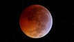 Eclipse lunaire totale : ne manquez pas la 