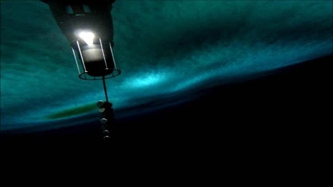 Un robot délivre des images inédites des profondeurs de l'Antarctique