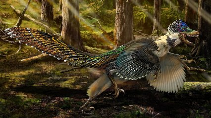 Un étonnant cousin du vélociraptor vient d'être découvert