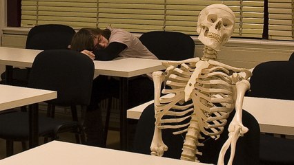 Que risque-t-on à rester trop souvent assis ?