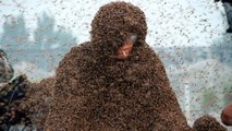 Un Chinois se couvre d'un million d'abeilles pour battre un record du monde