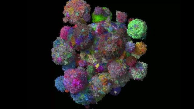 Des chercheurs mettent au point le modèle de tumeur le plus réaliste à ce jour