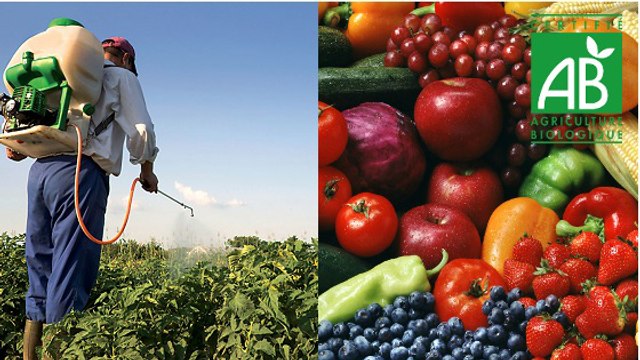 Une famille s'est mise à manger bio pendant deux semaines et voici les effets sur sa santé