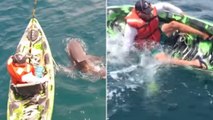 Un effrayant requin-taureau fait chavirer le kayak d’un pêcheur