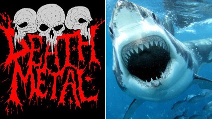 Les requins seraient-ils fans de death metal ?