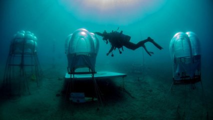 Le Jardin de Némo, une ferme située à six mètres sous la surface de l'océan