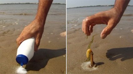 Voilà une expérience hallucinante à réaliser sur la plage