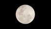 La "Lune bleue", une pleine Lune exceptionnelle à observer le 31 juillet
