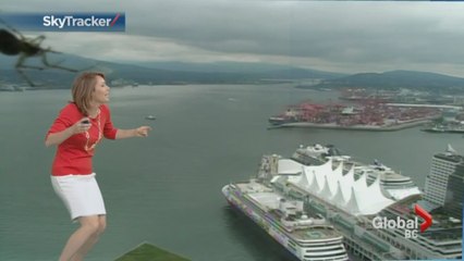 Quand une araignée sème la panique pendant un bulletin météo