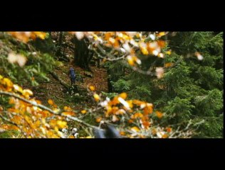 Arkadaşım Tilki Orijinal Fragman