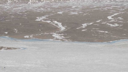 Une oasis d'oxygène retrouvée cachée au fond d'un lac de l'Antarctique