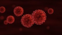 Vaccin contre le SIDA : les résultats de Biosantech font débat parmi les scientifiques